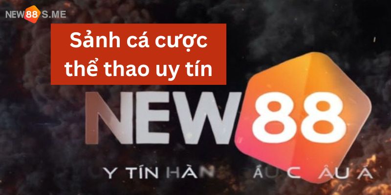 sảnh cá cược thể thao uy tín